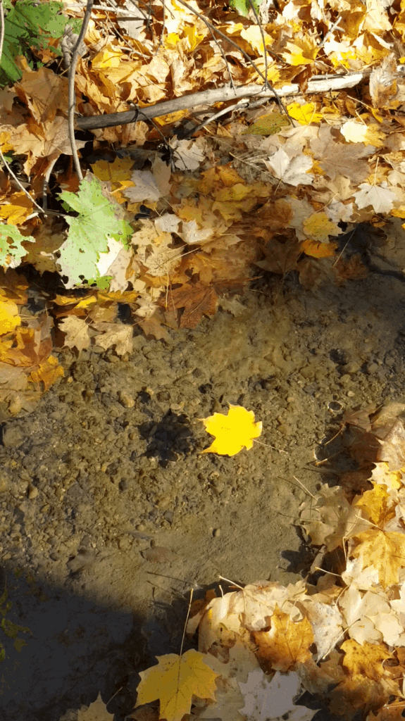 Life is always an adventure