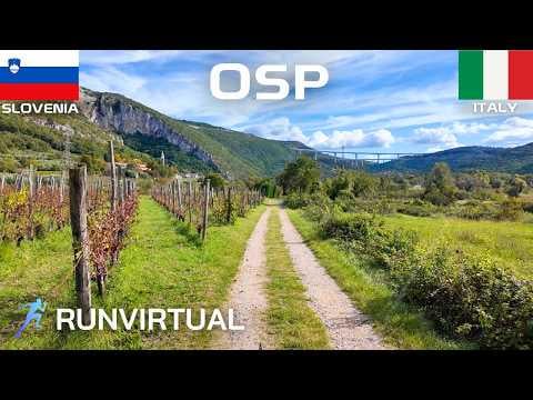 Trail running in Slovenia and Italy: Osapska Mediterranean Valley