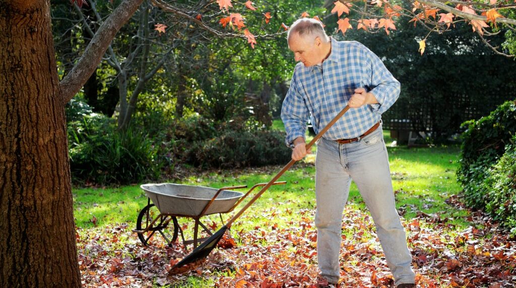 4 reasons why skipping fall yard cleanup is better for the environment