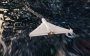 Anti-drone missiles are already protecting Ukraine