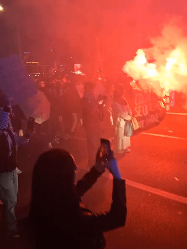 Geneva 2/10/2025 CA 19:30, Protestors for Gaza clash with police units on the Pont du Mt. Blanc, with tear gas and batons