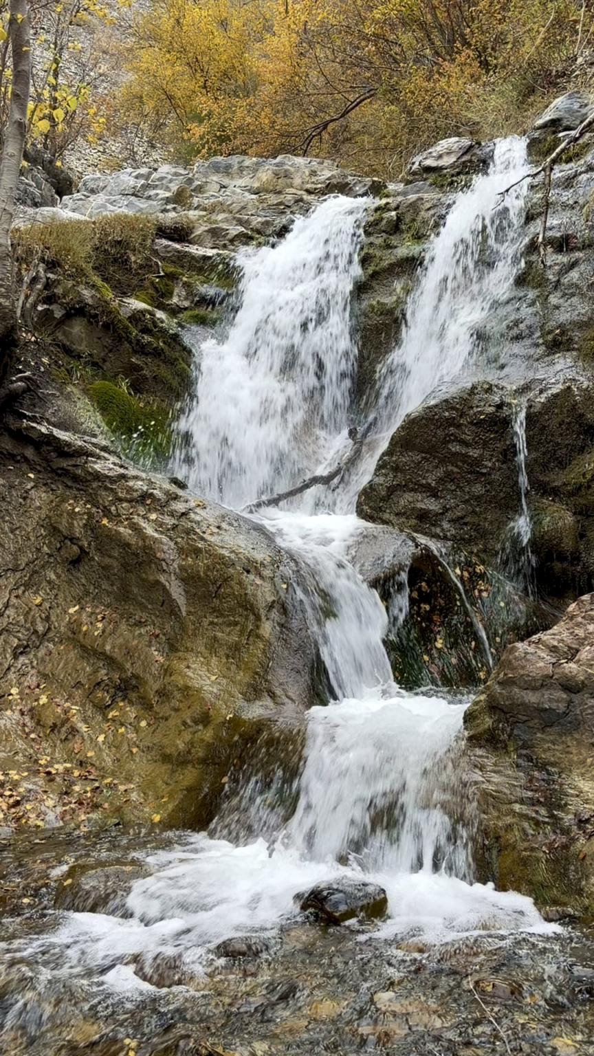 Peace on the way up the Battle Creek Trail, Utah, USA