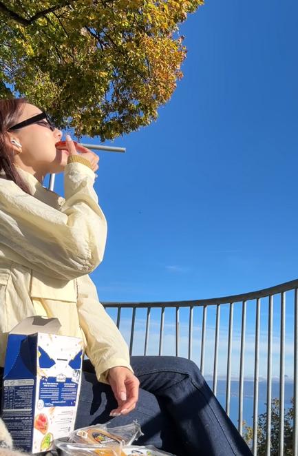Picnic