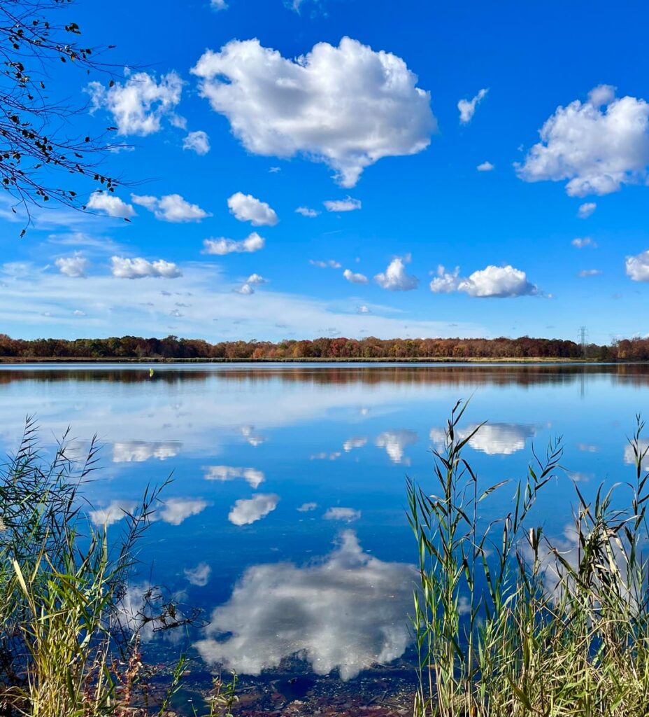 Such colorful days this week… 🍃 🍂🍁❤️