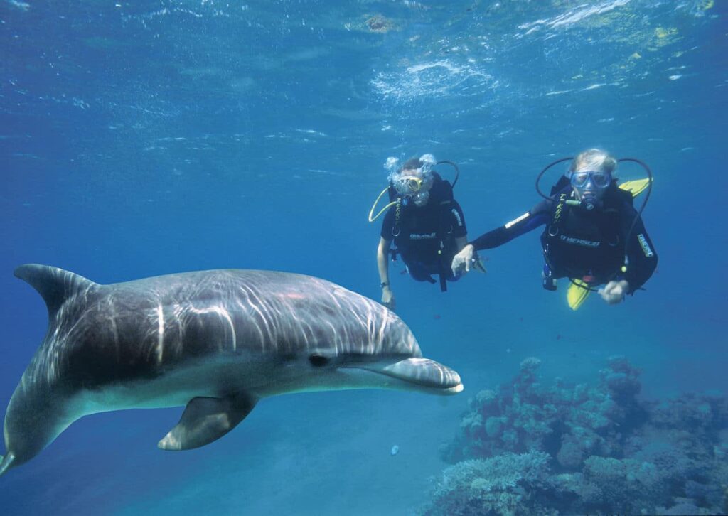 Greece Invests in the Future of Diving Tourism, Exploring a New World