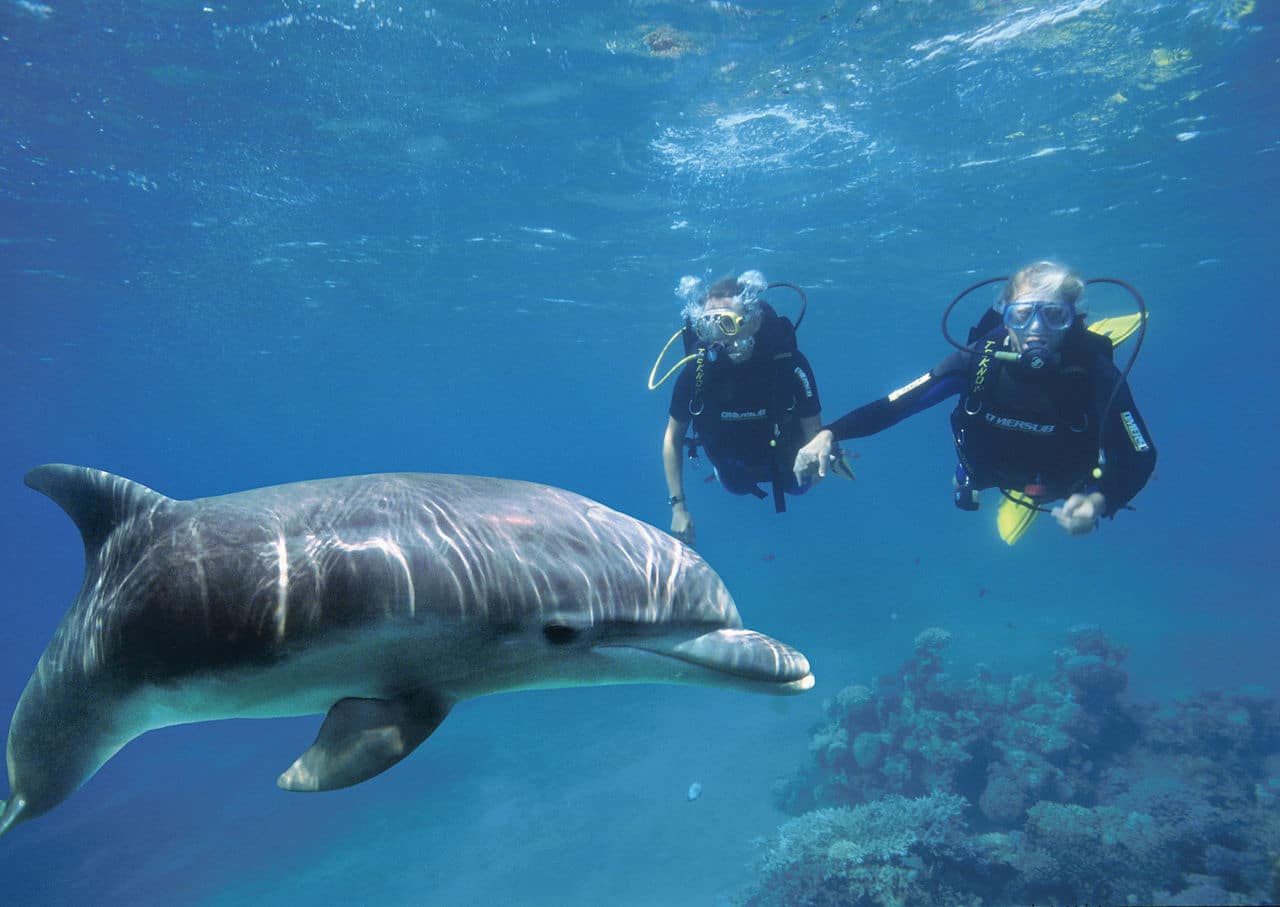 Greece Invests in the Future of Diving Tourism, Exploring a New World