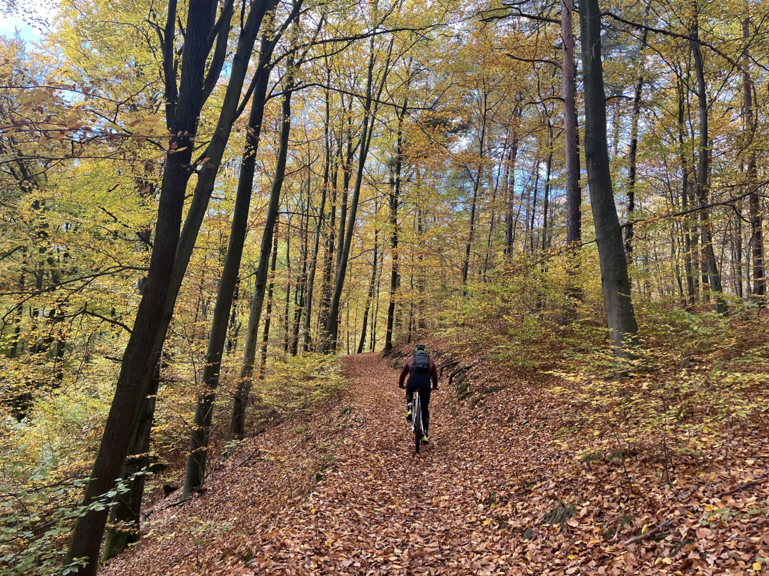 Autumn riding is the best