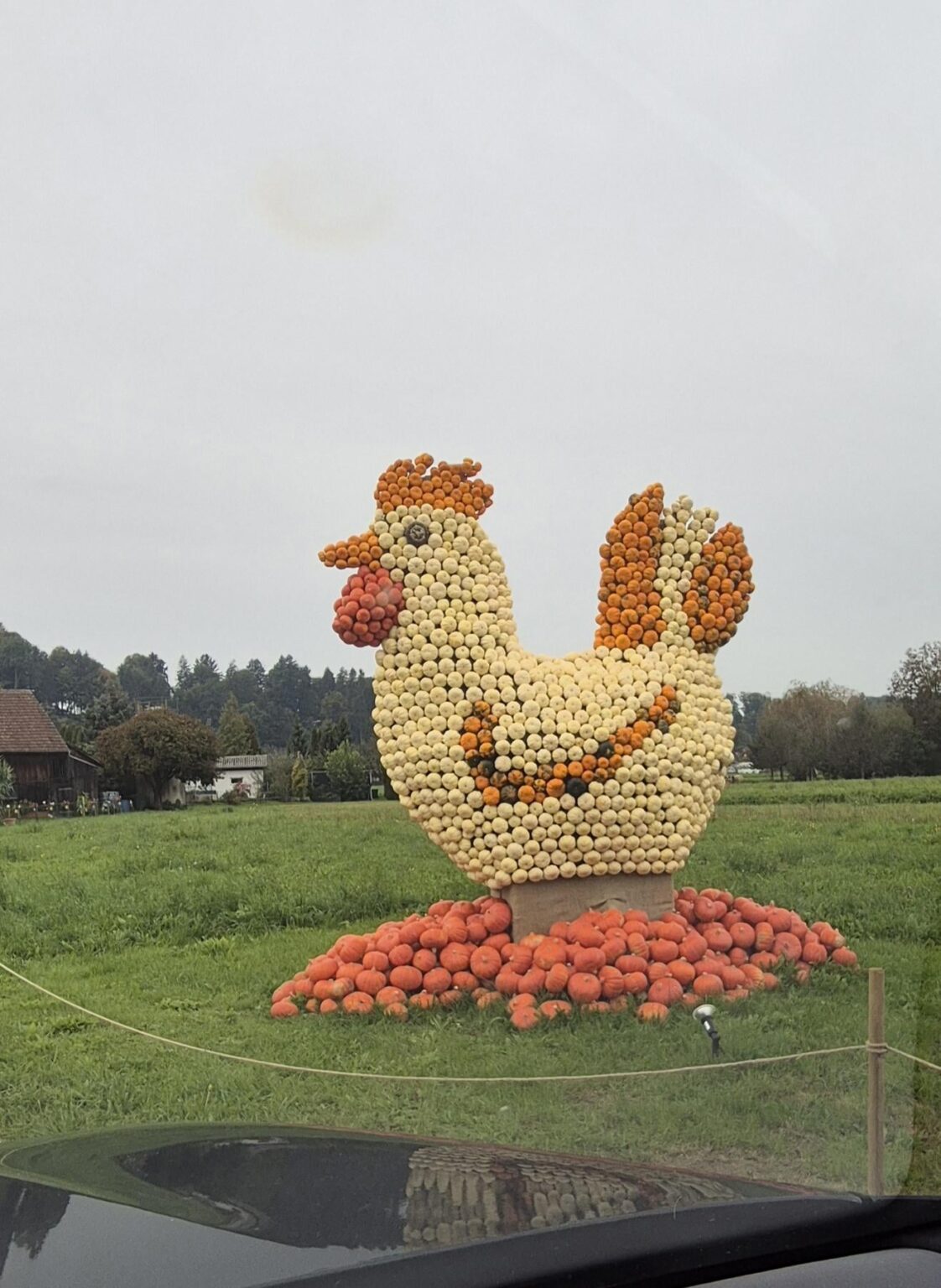 Love the creative Swiss
