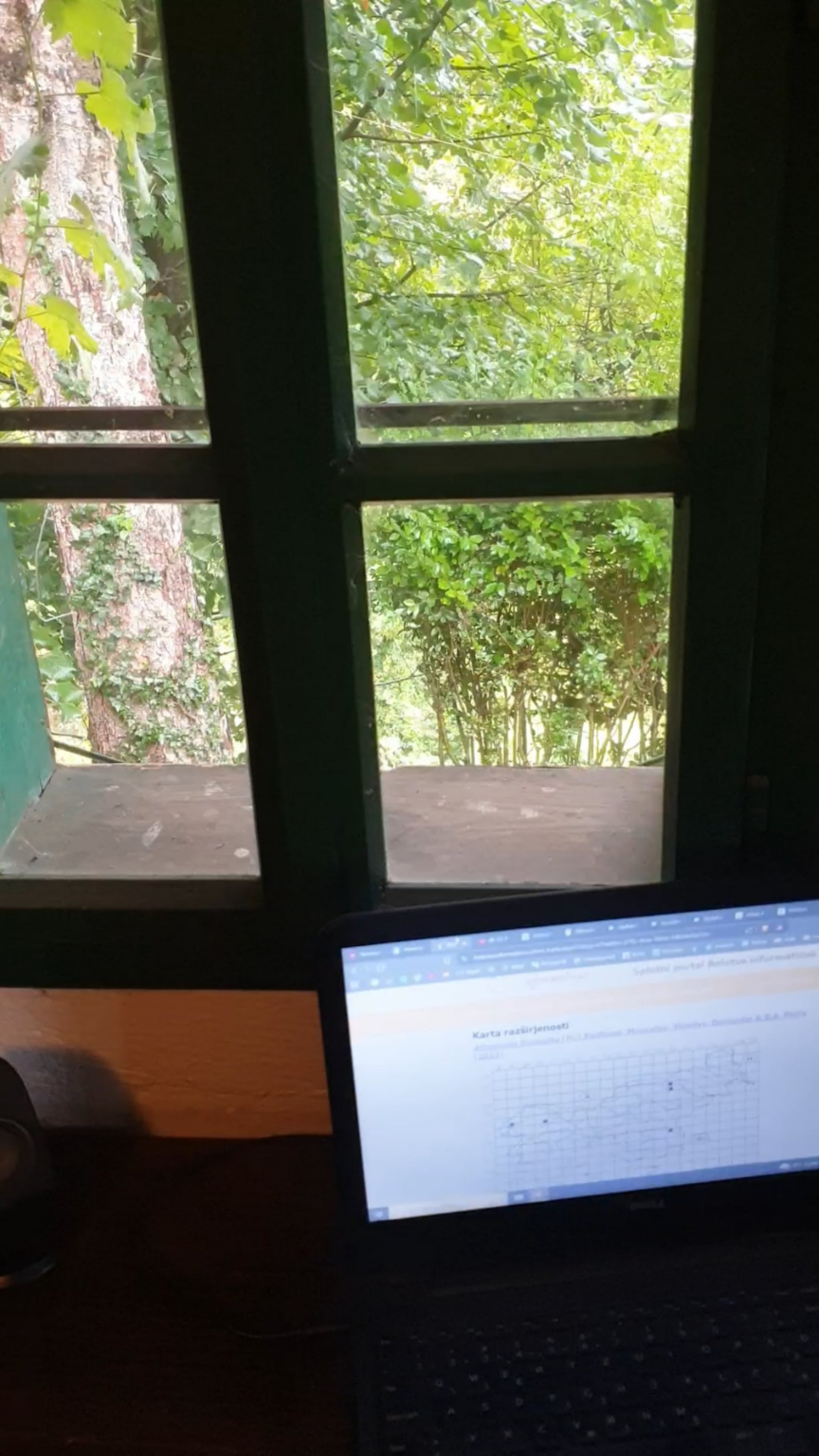 What do you do on such a rainy day?