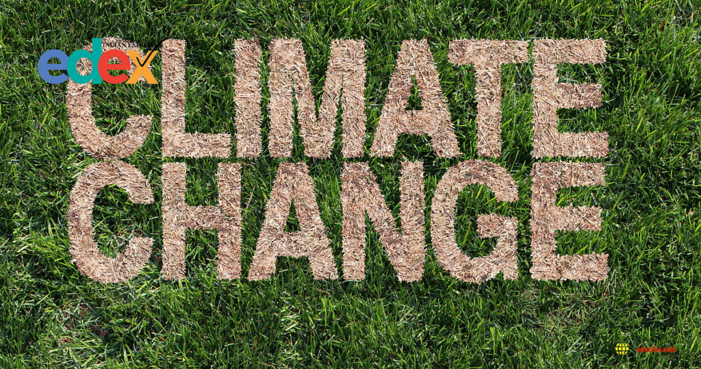 Climate litigation on the rise in India amid environmental concerns
