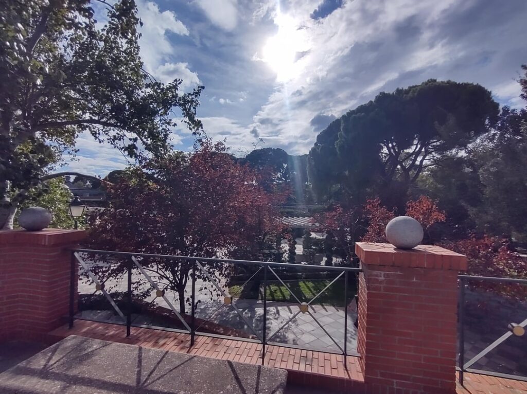 Retiro Park. Madrid 🇪🇦