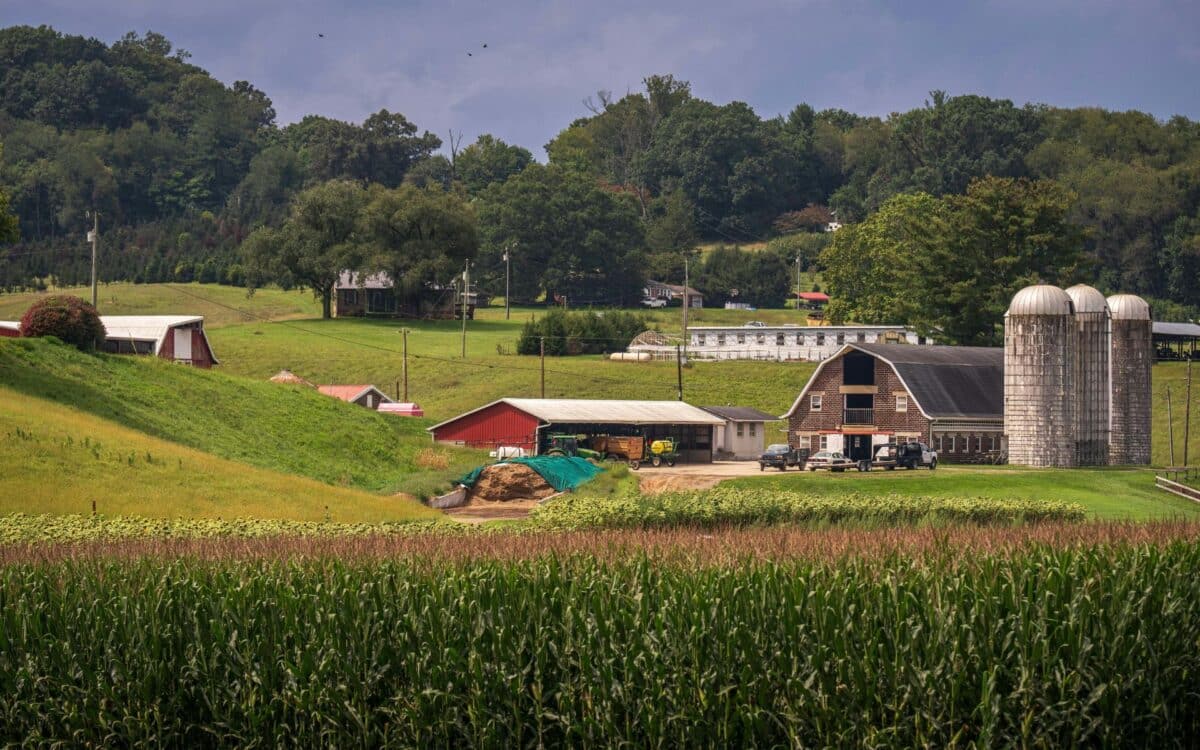 Farm