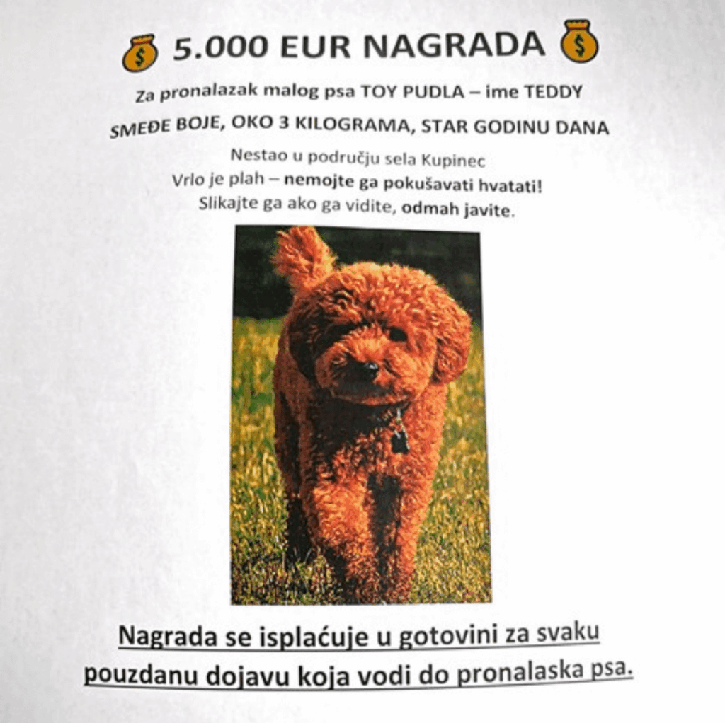 The dog of Antonio Rimac, brother of Mate Rimac, disappeared from the dog hotel!!!