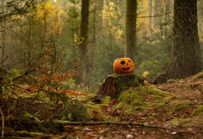 The mayor of Elin Pelin banned Halloween