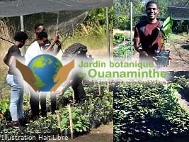 Haiti - Environment : The Ouanaminthe Botanical Garden launches its climate plan (2025-2030)
