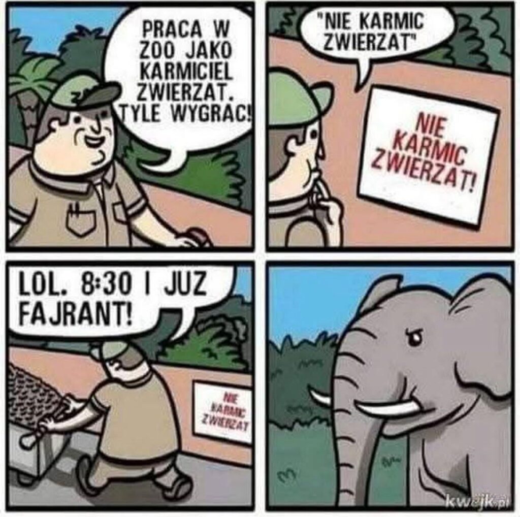 Work at the zoo