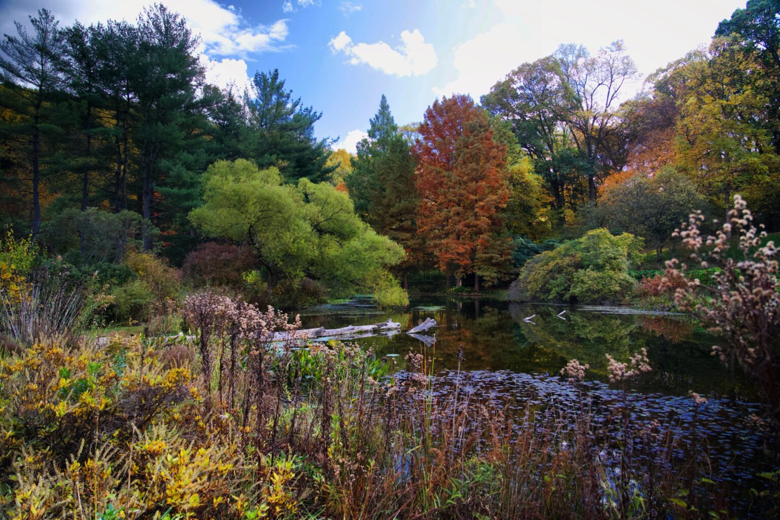 Jenkins Arboretum, Pennsylvania
