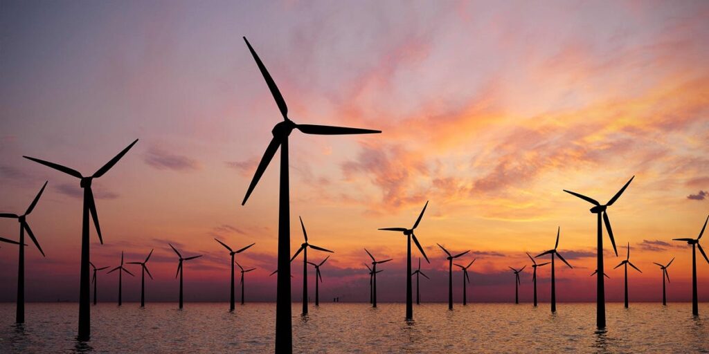 The Rise of Renewable Energy