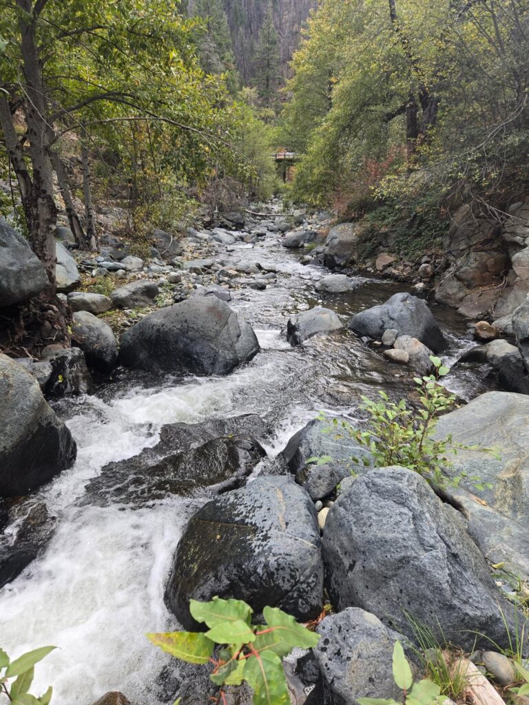Hiked along East Stuart Fork River (Shasta-Trinity NF, CA)