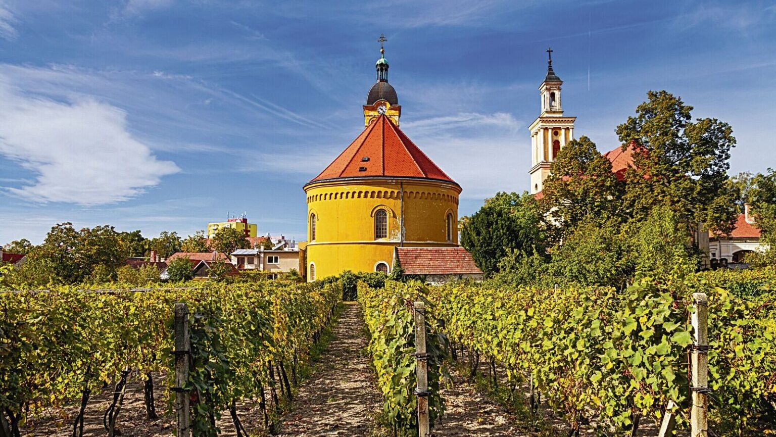 Drinking your way through Slovakia Drinking your way through Slovakia