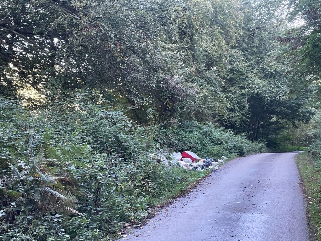 Nature and Society
