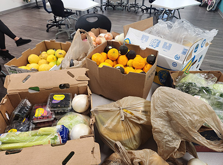 Community Resources for Food, Medical, Mental Health