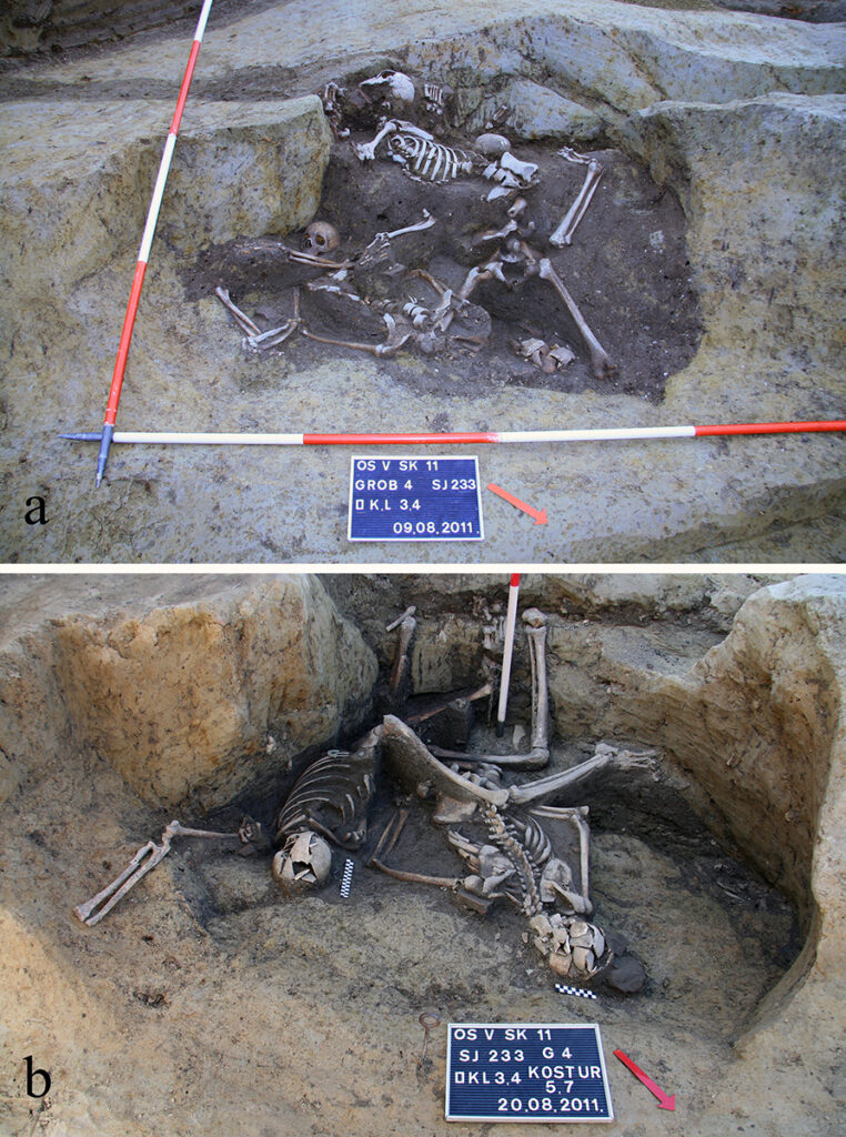 Skeletal remains uncovered in eastern Croatia.