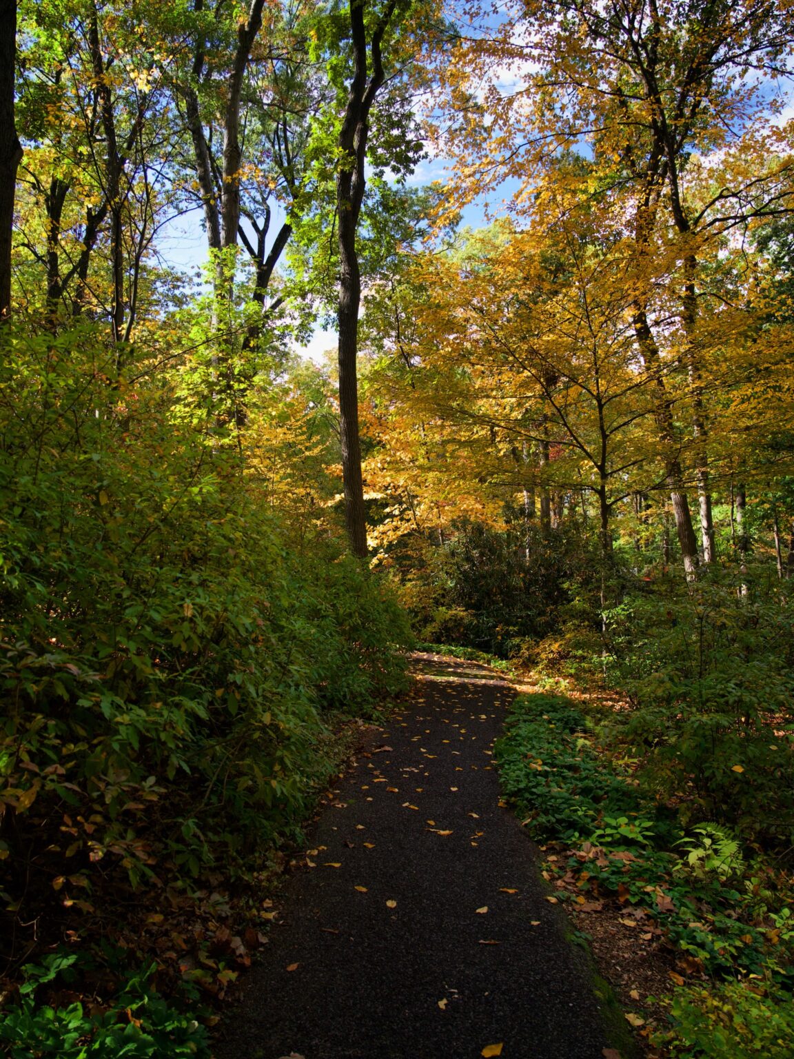 Jenkins Arboretum, Pennsylvania