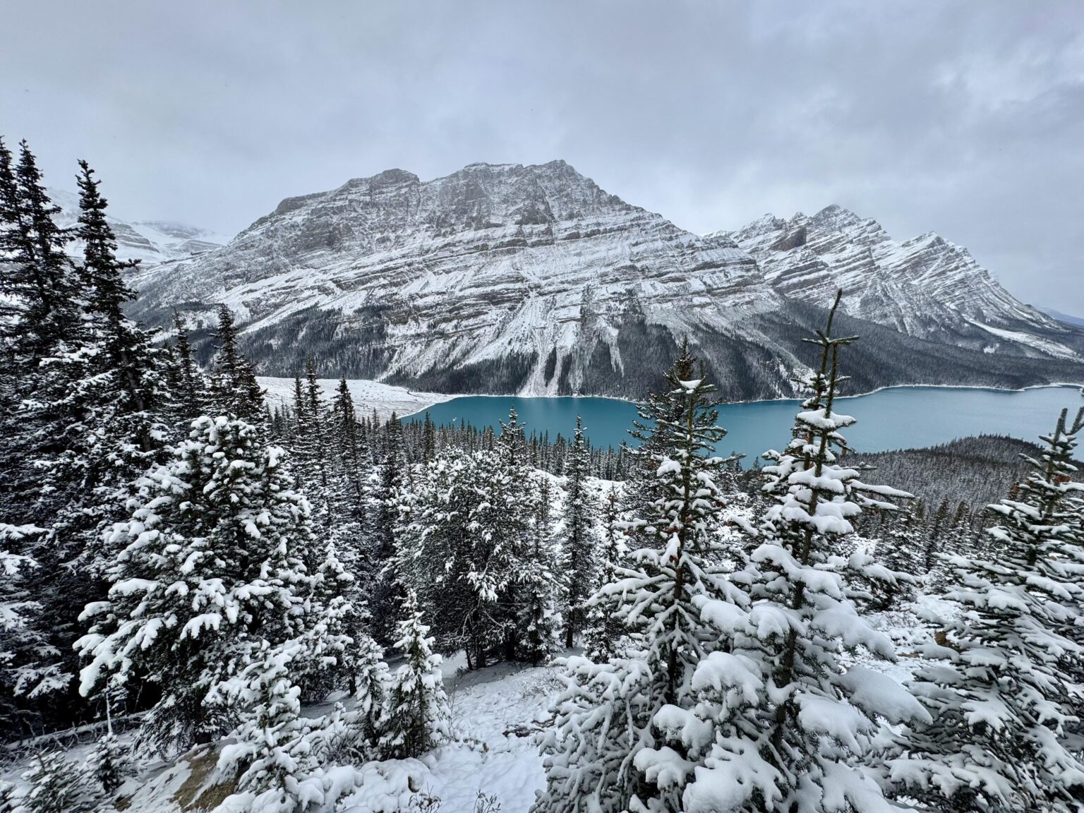 Peyto Lake