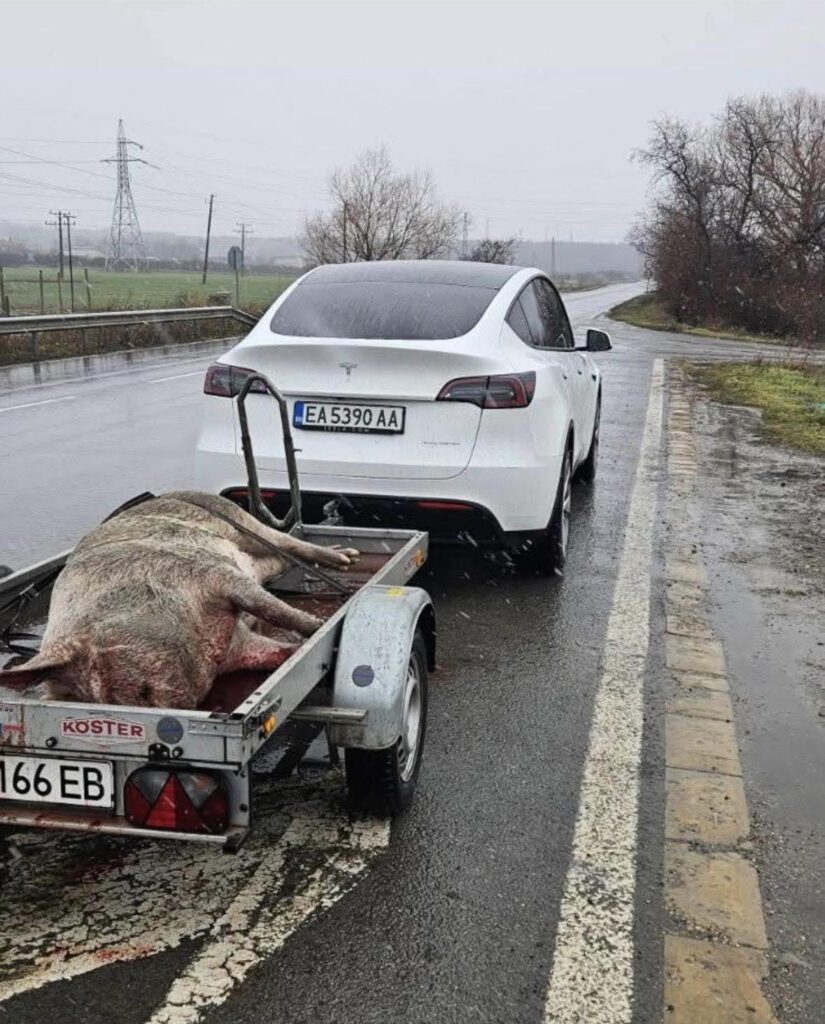 Welcome to Bulgaria!