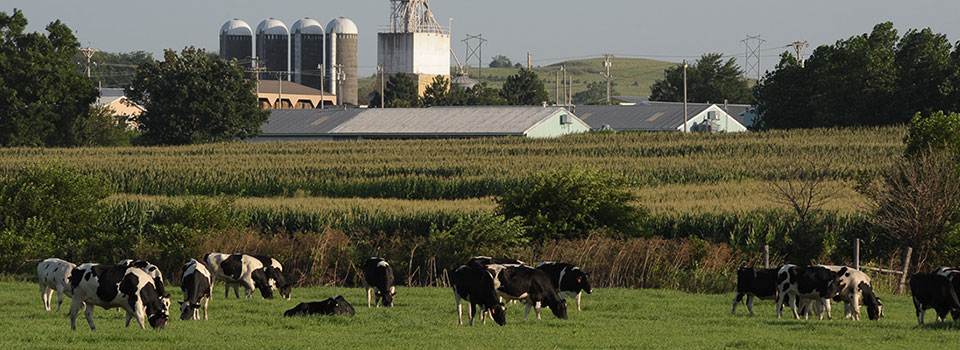 Conferences to Help Farmers Navigate Tough Economy