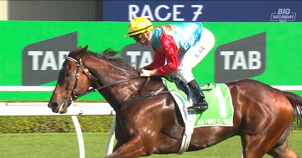 Kiwi-bred horse wins 'world's richest race on turf' at Randwick
