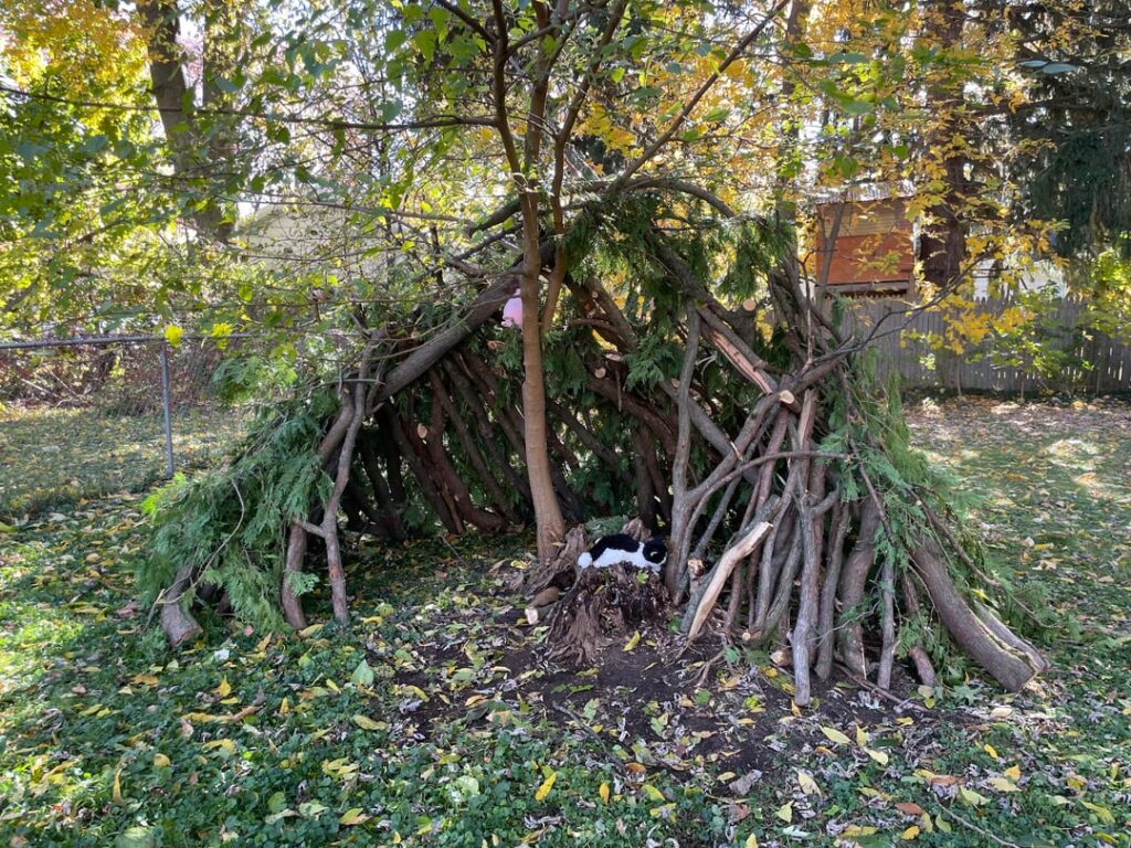 Tree Fort!!