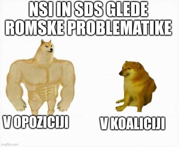 NSi and SDS regarding the Roma issue