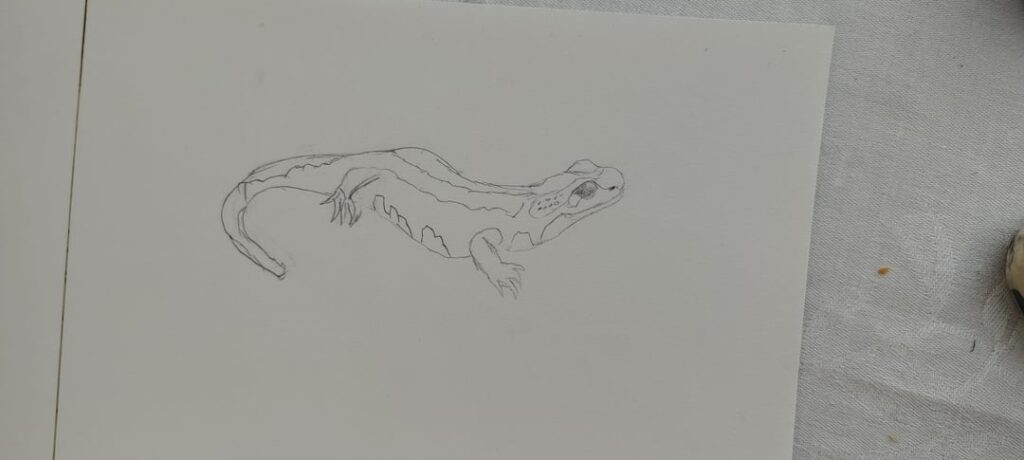 Is there hope for me and my creativity?