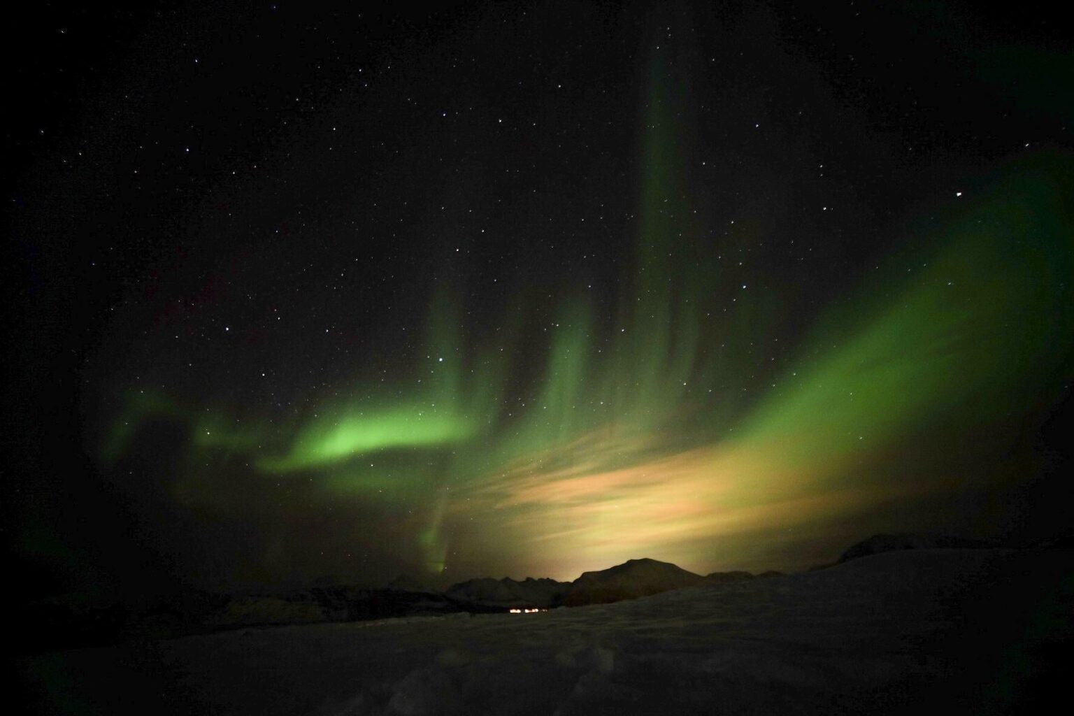 Northern Lights [Sommarøy] 🇳🇴