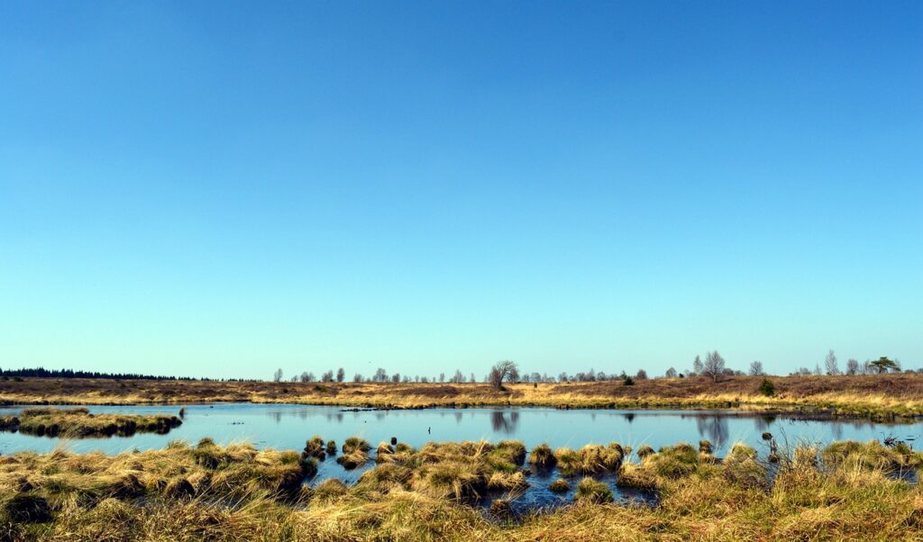 Lithuania to restore marshes to strengthen defenses