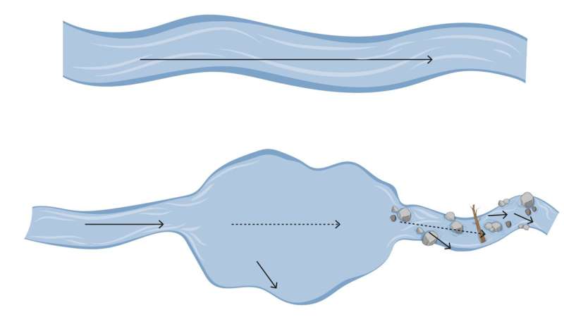 Natural barriers disrupt the ecosystems in northern Sweden's rivers
