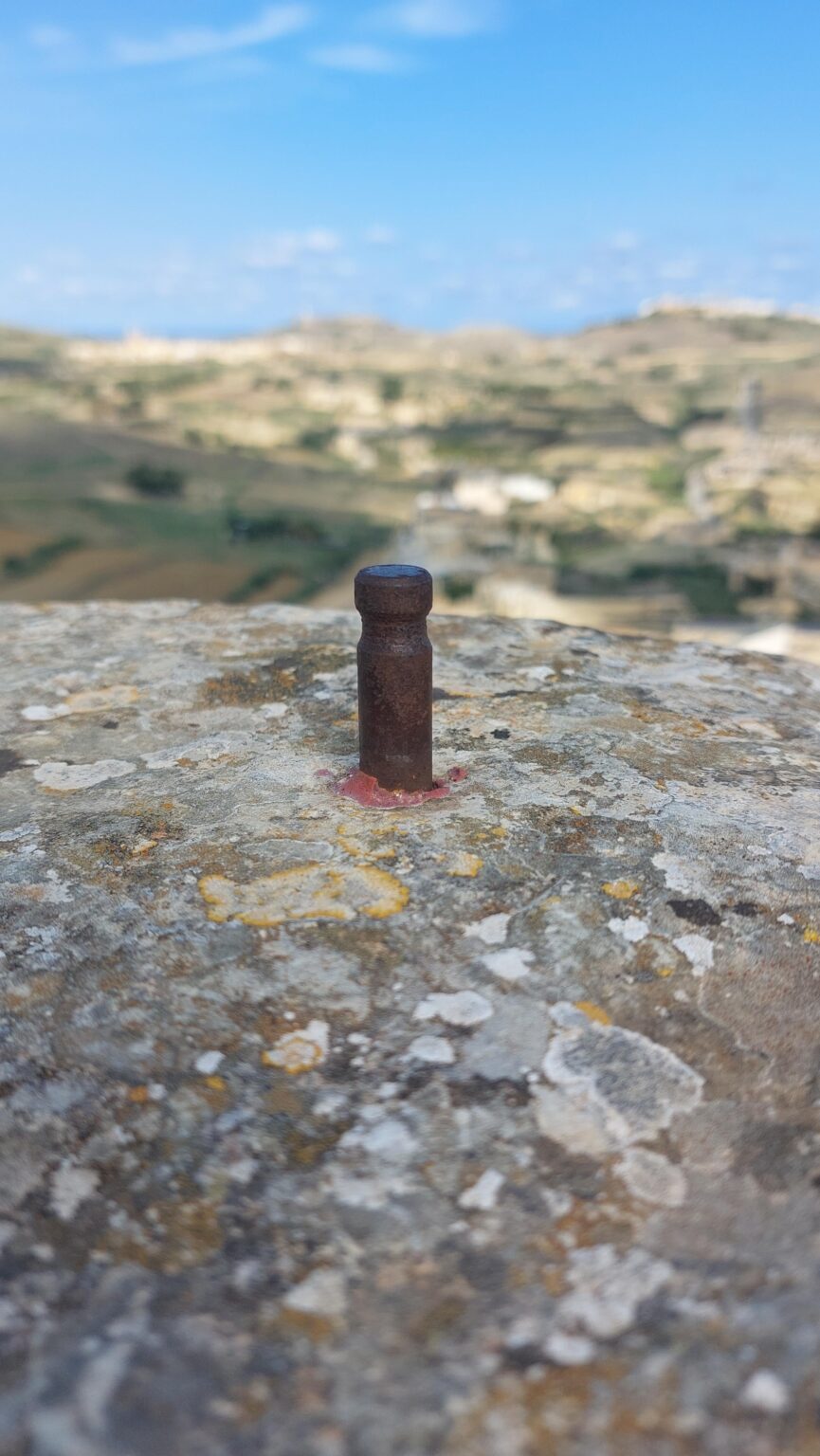 What are these? Found on Gozo on the walls of Citadella