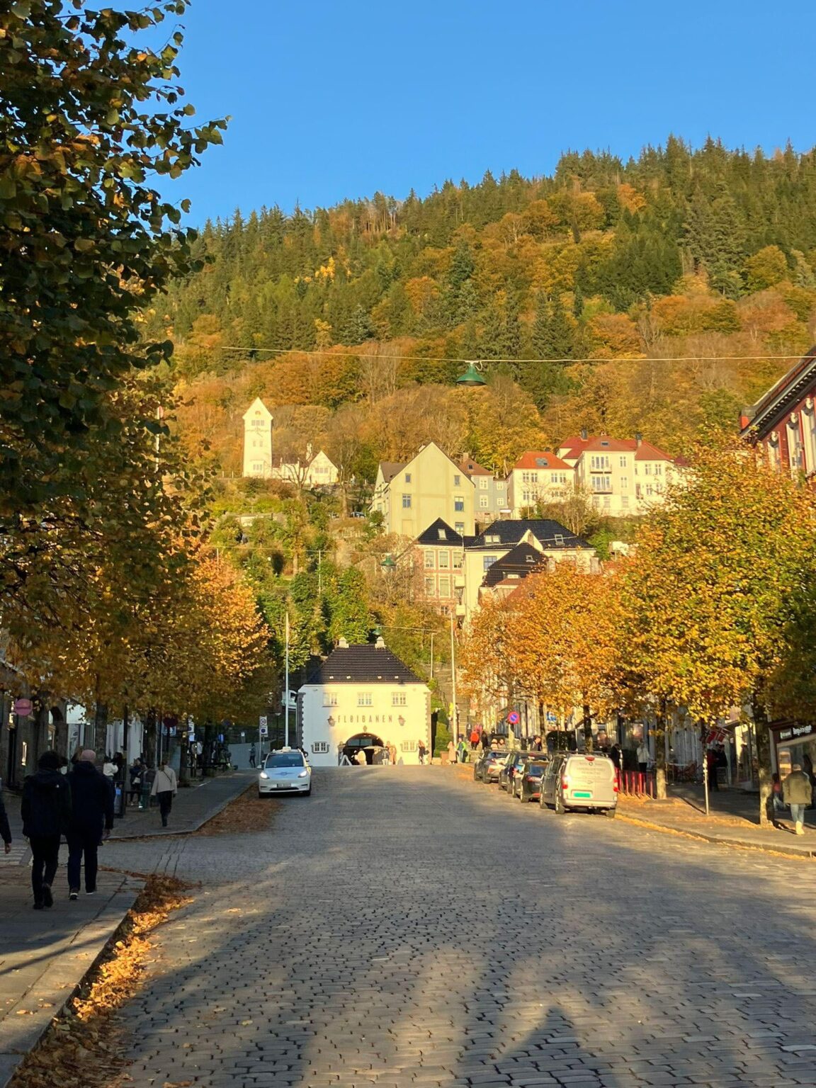 Is Bergen the most beautiful city in the world?
