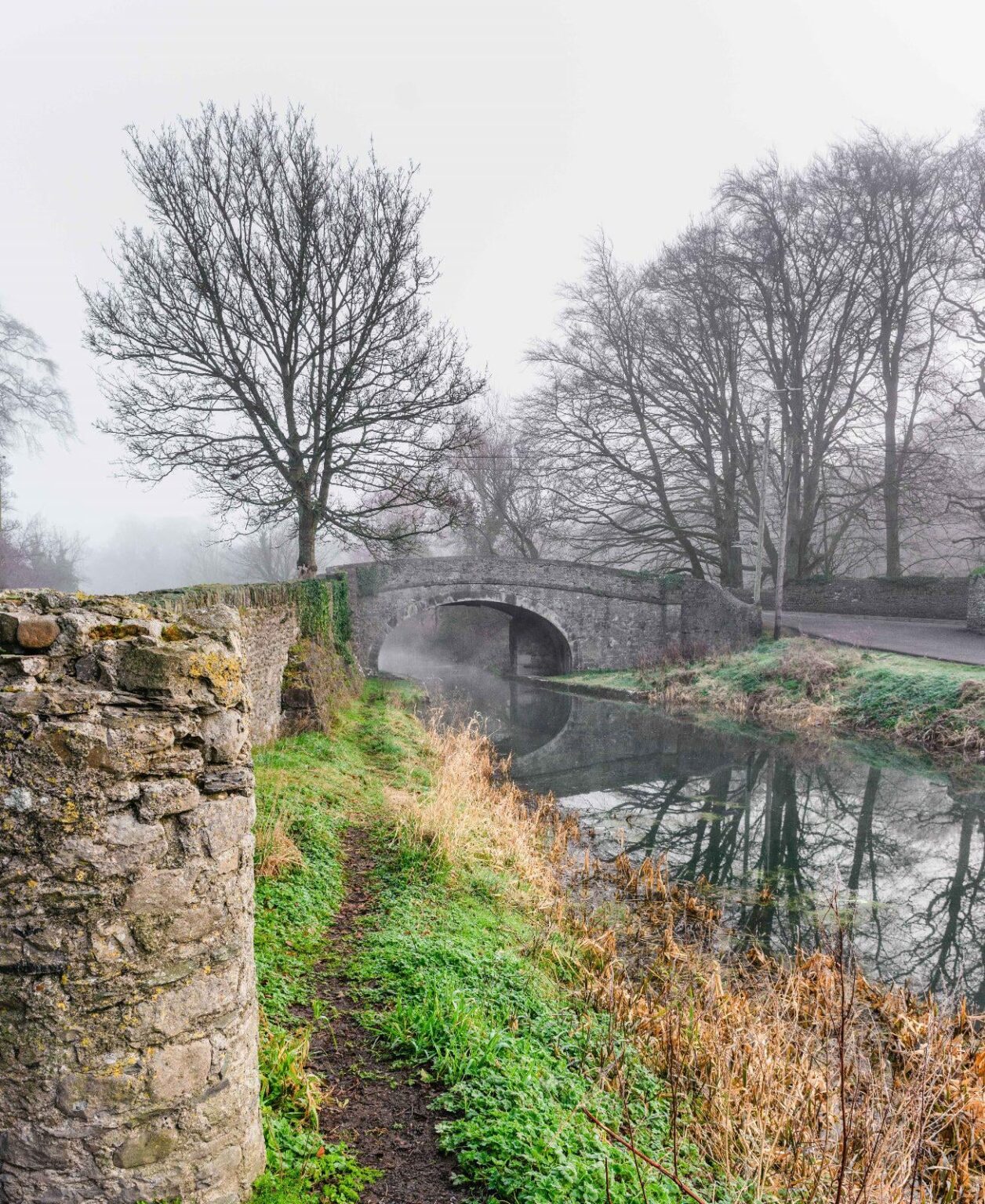 Canal at Naas, Ireland
