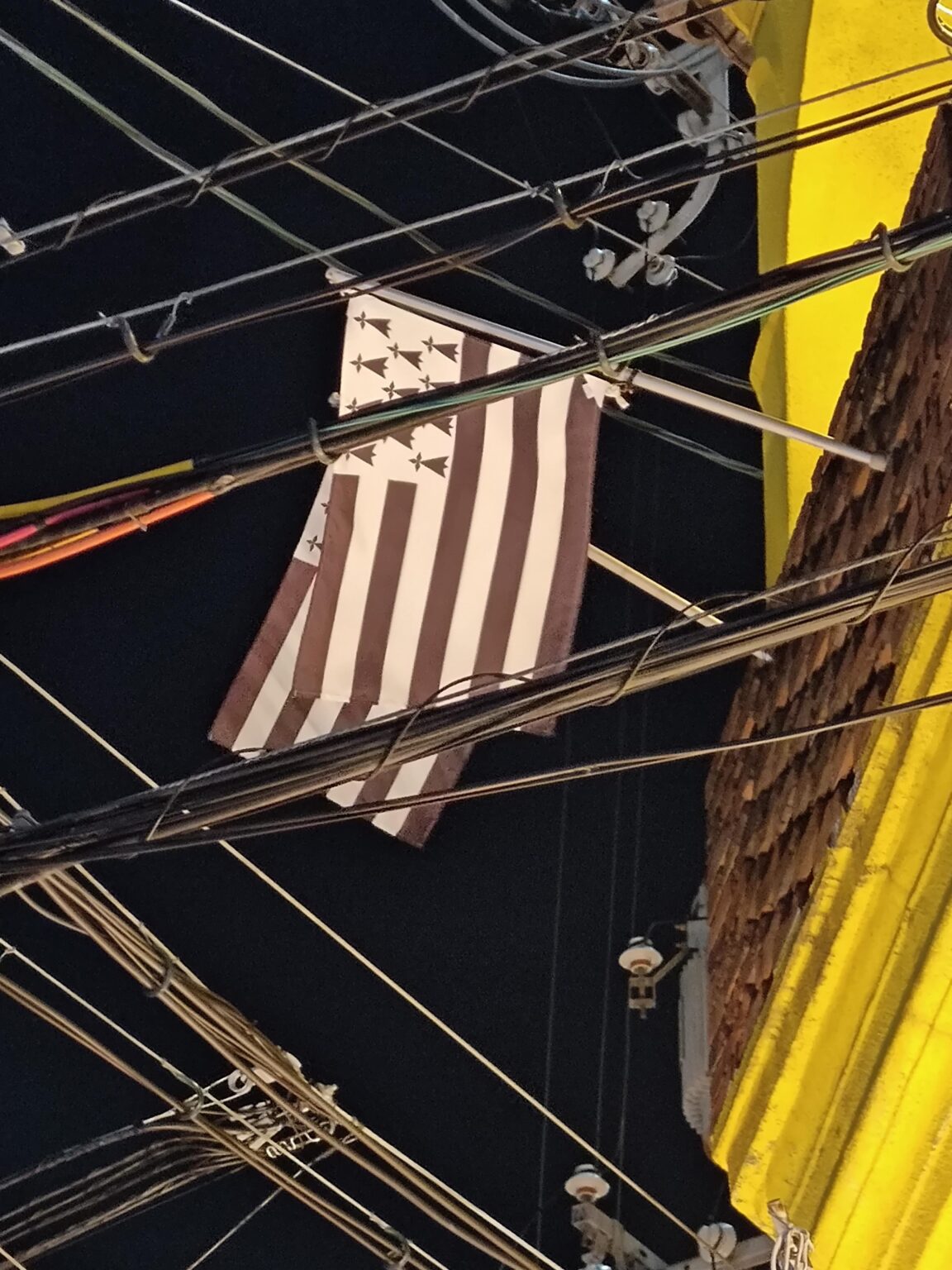 What is this flag above a crepe shop in Osaka, Japan