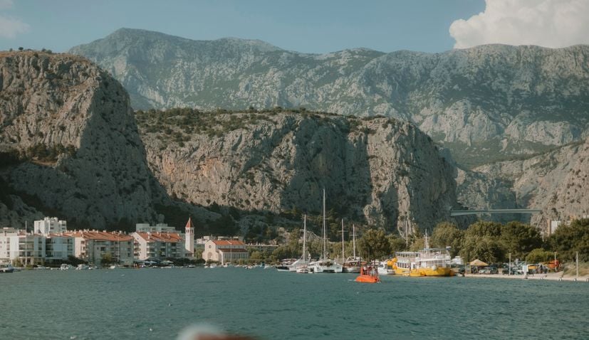Omis
