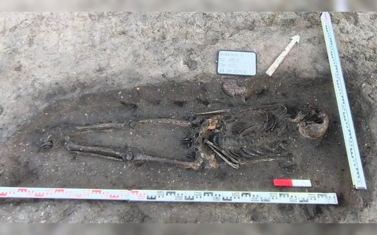 One Of The Skeletons Found In The Cemetery In Poland. (image Credit Katarzyna Alagierska)