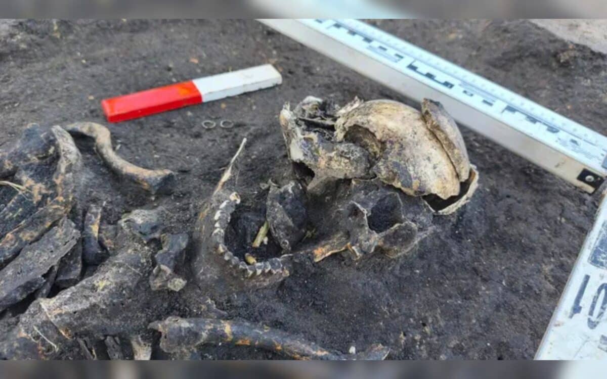 Part Of A Skeleton The Team Discovered. Ongoing Research Aims To Find Out More About Who These People Are. (image Credit Katarzyna Alagierska)