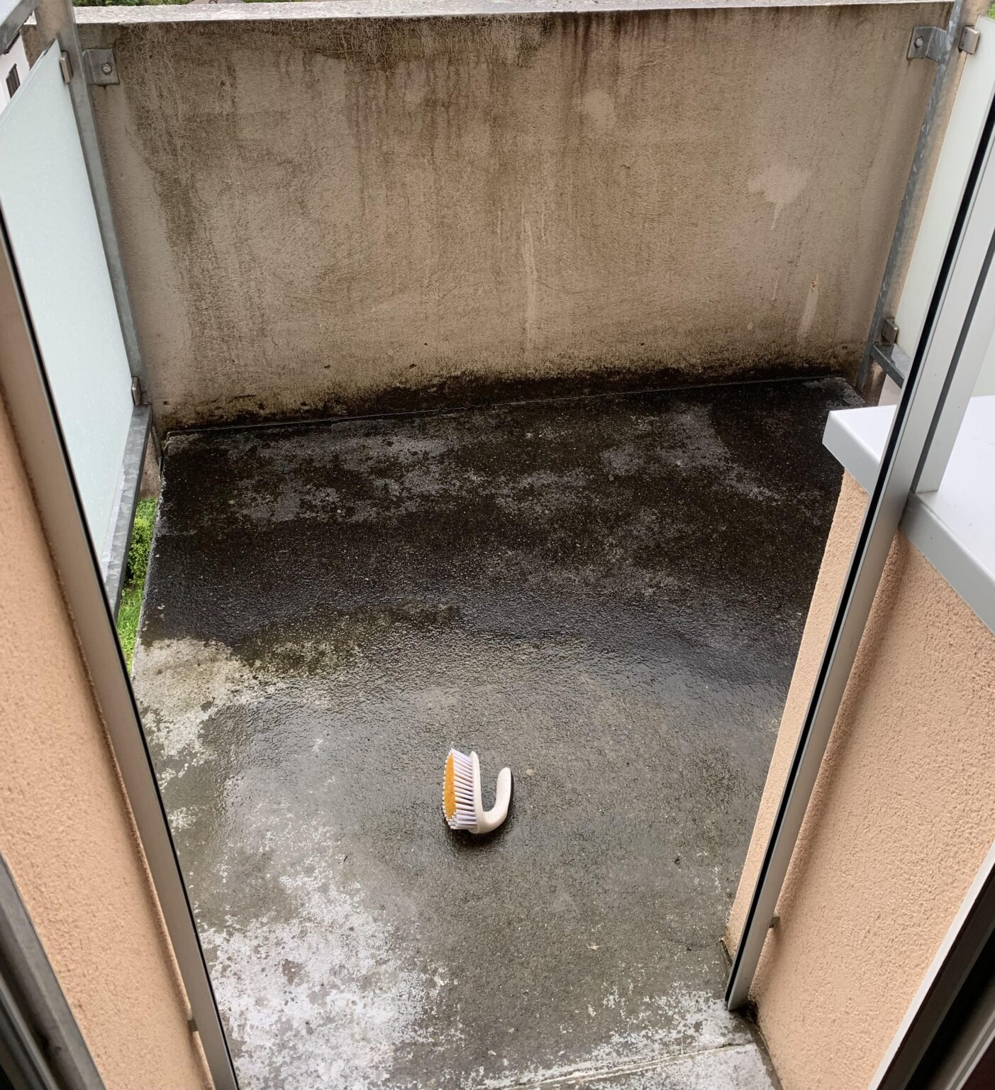 Cleaning a rented flat (read the description)