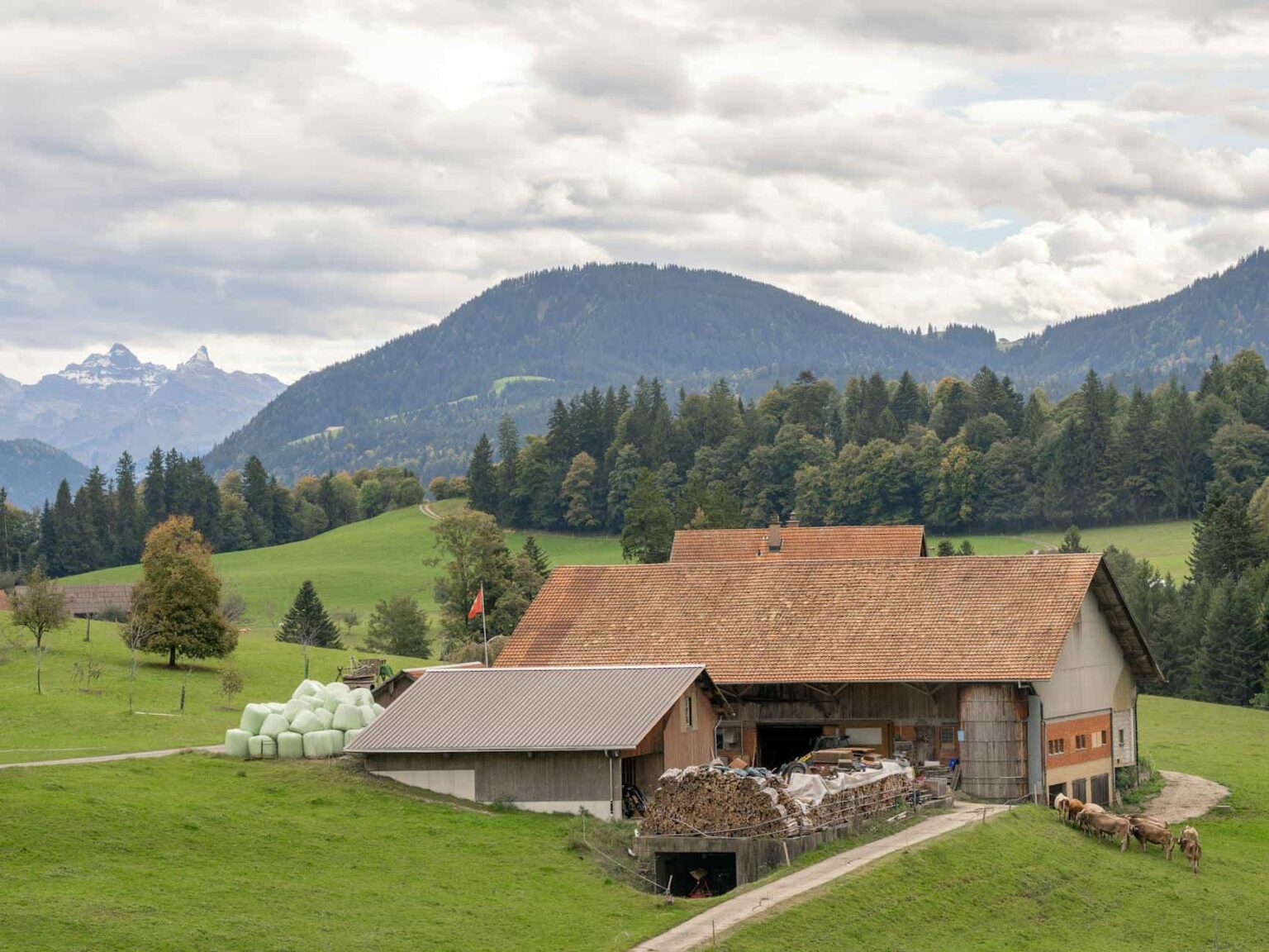 Switzerland relaxes limits on construction