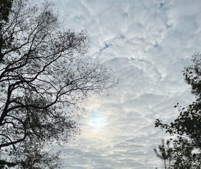 A new rain zone to cross Latvia over the weekend – thunderstorms expected in some areas
