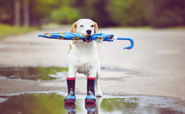 Bulgaria: Bulgaria Weather This Weekend: Cool Mornings, Rain on the Way