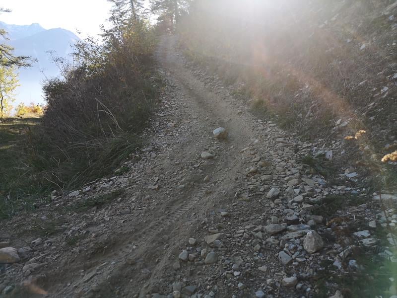 Bikes destroy hiking trails